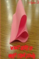 What Goes Up Must Come Down 1105529800 Book Cover