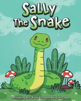 Sally the Snake: Kids Rhyming Activity Book B097VM55BN Book Cover