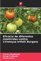 Eficácia de diferentes inseticidas contra Liriomyza trifolii Burgess (Portuguese Edition) 6209421229 Book Cover