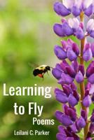 Learning to Fly 1523248653 Book Cover