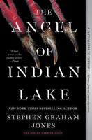 The Angel of Indian Lake (3) 1668011662 Book Cover