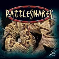 Rattlesnakes (Amazing Snakes) 0824951468 Book Cover