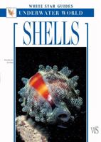 Shells: A Guide to the Jewels of the Sea 8854400939 Book Cover