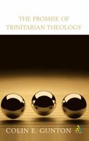 The Promise of Trinitarian Theology 056729224X Book Cover