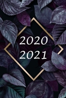 2020 2021: Kalender für das Jahr 2020 2021 (German Edition) 1697072070 Book Cover