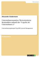 Unternehmensanalyse. Wertorientierte Kennzahlen anhand der "Copyfix AG Unternehmen 3" (German Edition) 3668938636 Book Cover