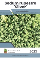 Sedum rupestre 'Silver': Succulent Handbook: Complete Guide to Growing Succulent Plant B0CDNMBQQQ Book Cover