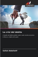 La crisi del debito (Italian Edition) 6208507596 Book Cover
