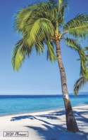 2020 Planner: Coconut Palm Beach Cover / Lined Pocket Calendar Planner / Daily and Weekly Planner 169703280X Book Cover