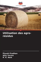 Utilisation des agro-résidus (French Edition) 6206903400 Book Cover