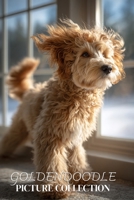 Goldendoodle Picture Collection: Beautiful Full-Page Pictures of Goldendoodle and Puppies for All Ages (Simple Photo Books). B0GG536YBW Book Cover