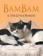 Bambam & the Little Princes: A Mostly True Story 1480891118 Book Cover