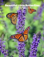 Beautiful Little Butterflies Full-Color Picture Book: Butterflies Picture Book for Children, Seniors and Alzheimer’s Patients -Insects Wildlife Nature 1670160726 Book Cover