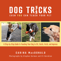 Dog Tricks Even You Can Teach Your Pet: A Step-by-Step Guide to Teaching Your Pet to Sit, Catch, Fetch, and Impress 1493069225 Book Cover