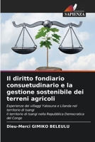 Il diritto fondiario consuetudinario e la gestione sostenibile dei terreni agricoli 6206349756 Book Cover