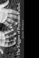 The Triggers of Psychosis Pulled. 0692955046 Book Cover