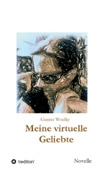 Meine virtuelle Geliebte: Novelle (German Edition) 3347015614 Book Cover