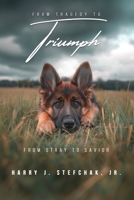 From Tragedy to Triumph 197268857X Book Cover