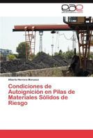 Condiciones de Autoignicion En Pilas de Materiales Solidos de Riesgo 3847364421 Book Cover