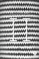 Monochrome Illusions II B0CFZL1NCM Book Cover