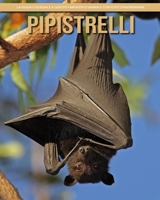 Pipistrelli: la guida essenziale a questo fantastico animale con foto straordinarie B0BHS3MF6F Book Cover