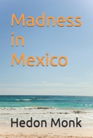Madness in Mexico B0F6VXP1C4 Book Cover