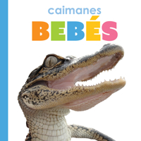 Caimanes Bebés: Spanish Edition B0F548W28Q Book Cover