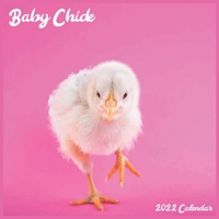 Baby Chick 2022 Calendar: Official Baby Chicken 2022 Calendar 16 Months B093RMYC9W Book Cover