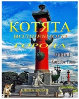 Cats of Magic City. Biook1. Kitten Tosha. Colorful : In Russian 1950311724 Book Cover