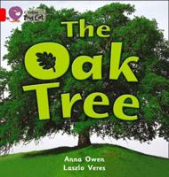 The Oak Tree: Band 02b/Red B (Collins Big Cat) 0007475934 Book Cover