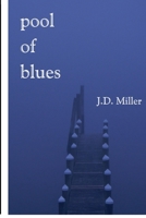 Pool of Blues B08P3GZZ97 Book Cover