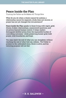 Peace Inside the Plan: Trusting the Father as He Makes All Things New (The Master Plan Library) B0HDB58L47 Book Cover