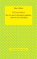 Effizienzhülsen: Wie wir unser Lebensglück gefährden - und wie wir es bewahren 3751970282 Book Cover