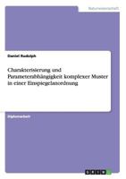 Charakterisierung und Parameterabh�ngigkeit komplexer Muster in einer Einspiegelanordnung 3640182324 Book Cover