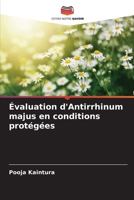 Évaluation d'Antirrhinum majus en conditions protégées (French Edition) 6202640235 Book Cover