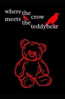 where the crow meets the teddy bear (where the crows go) B0FCTW9WYR Book Cover