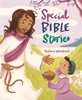 Special Bible Stories 0745978851 Book Cover