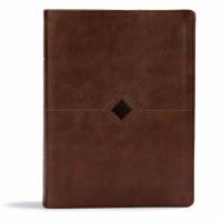 CSB Day-by-Day Chronological Bible, Brown Leathertouch 1535925590 Book Cover