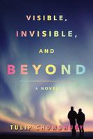 Visible, Invisible and Beyond 1492278726 Book Cover