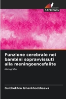 Funzione cerebrale nei bambini sopravvissuti alla meningoencefalite: Monografia B0CGL9T646 Book Cover