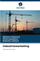 Industriemarketing (German Edition) 6208829348 Book Cover