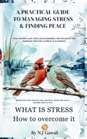 What Is Stress: How to overcome it 1764371895 Book Cover