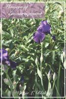 Flowers of Encouragent 1981457593 Book Cover