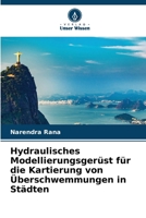 Hydraulisches Modellierungsgerüst für die Kartierung von Überschwemmungen in Städten (German Edition) 6208236487 Book Cover