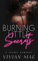 Burning Little Secrets 173679650X Book Cover