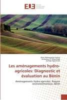 Les aménagements hydro-agricoles: Diagnostic et évaluation au Bénin 6138424026 Book Cover