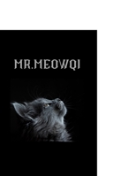 500 Sudoku Puzzles: Hard Sudoku Book For Adults ( Halloween Book For Adults ) 1678577103 Book Cover