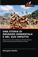 UNA STORIA DI DEGRADO AMBIENTALE E DEL SUO IMPATTO: Attraverso la valle di Abbay di Simada Woreda nella seconda metà del ventesimo secolo 6204061313 Book Cover