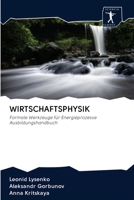 Wirtschaftsphysik 6200888264 Book Cover