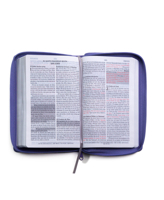 Rv-60 Biblia de Promesas - Tamao Manual- Edicin Lavanda Imitacin Piel Con Cierre 0789925583 Book Cover